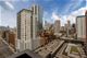 360 W Illinois Unit 10A, Chicago, IL 60654