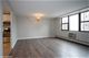 1445 N State Unit 1204, Chicago, IL 60610