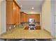 2921 N Damen Unit 2, Chicago, IL 60618