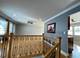 1412 S Redwood, Mount Prospect, IL 60056