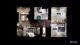 23490 N Spring, Barrington, IL 60010