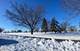 705 Belmont, Romeoville, IL 60446