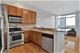 1819 S Michigan Unit 606, Chicago, IL 60616