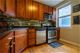 1526 W Belle Plaine Unit 1W, Chicago, IL 60613