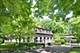 115 Moffett, Lake Bluff, IL 60044