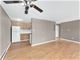 420 Home Unit 301N, Oak Park, IL 60302