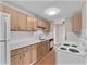 420 Home Unit 301N, Oak Park, IL 60302