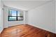 201 N Westshore Unit 502, Chicago, IL 60601