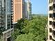 1445 N State Unit 907, Chicago, IL 60610