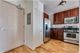 1111 S Wabash Unit 2508, Chicago, IL 60605