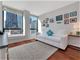 260 E Chestnut Unit 2601, Chicago, IL 60611