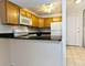 230 E Ontario Unit 2203, Chicago, IL 60611