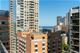 850 N Dewitt Unit 4G, Chicago, IL 60611