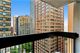 222 E Pearson Unit 1701, Chicago, IL 60611