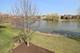 3808 Tall Grass, Naperville, IL 60564