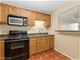 1030 N State Unit 48G, Chicago, IL 60610
