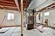 3824 Caine, Naperville, IL 60564