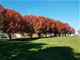 10S375 Curtis, Naperville, IL 60564
