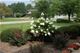 10S375 Curtis, Naperville, IL 60564