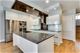 1008 N Larrabee Unit 1S, Chicago, IL 60610