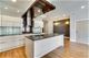 1008 N Larrabee Unit 1S, Chicago, IL 60610