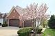 3808 Tall Grass, Naperville, IL 60564