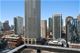 33 E Cedar Unit 19D, Chicago, IL 60611