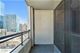 1255 S State Unit 1009, Chicago, IL 60605