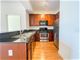 233 E 13th Unit 1210, Chicago, IL 60605