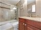 111 W Maple Unit 1303, Chicago, IL 60610