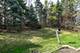 1719 Roosa, Elk Grove Village, IL 60007