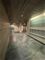 558 W Webster Unit 209, Chicago, IL 60614