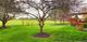 550 Blackberry Ridge, Aurora, IL 60506