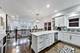 929 W George Unit 1, Chicago, IL 60657