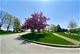 93 Odyssey, Tinley Park, IL 60477