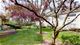 2010 Cambria, Northbrook, IL 60062