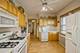 28 Ashland, River Forest, IL 60305