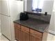 100 E Walton Unit 14F, Chicago, IL 60611