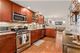 1343 W Nelson Unit G, Chicago, IL 60657