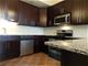 1378 W Grand Unit 2-FRONT, Chicago, IL 60642