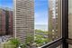 100 E Bellevue Unit 11A, Chicago, IL 60611