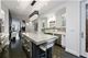 42 E Schiller, Chicago, IL 60610