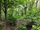 5N575 Hidden Springs, St. Charles, IL 60175