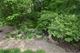 5N575 Hidden Springs, St. Charles, IL 60175