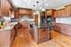 12600 Chiszar, Mokena, IL 60448