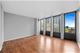100 E Walton Unit 18F, Chicago, IL 60611