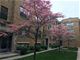 5934 N Paulina Unit 2, Chicago, IL 60660