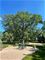 12073 Holly, Lemont, IL 60439