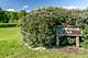 2505 Riverwalk, Plainfield, IL 60586
