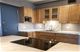 3150 N Lake Shore Unit 15E, Chicago, IL 60657
